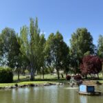 SENDA PEATONAL DEL ARROYO DEL VALLE Y DEL CANAL DEL CARBOSILLO