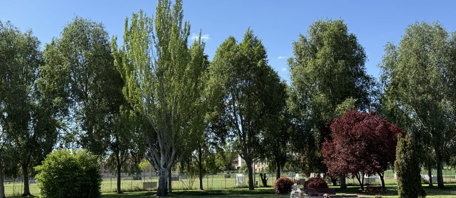 Parque de los Patos de San Andrés del Rabanedo