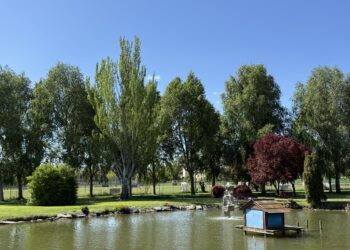 Parque de los Patos de San Andrés del Rabanedo
