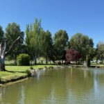 SENDA PEATONAL DEL ARROYO DEL VALLE Y DEL CANAL DEL CARBOSILLO