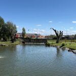 SENDA PEATONAL DEL ARROYO DEL VALLE Y DEL CANAL DEL CARBOSILLO